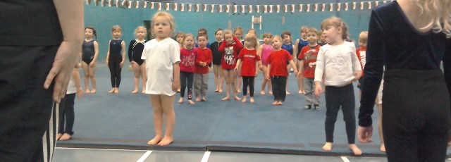 Pre-School gymnasts